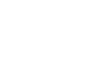 Hippo The Contest